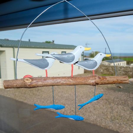 Kittiwake Apartman Saint Cyrus Kültér fotó