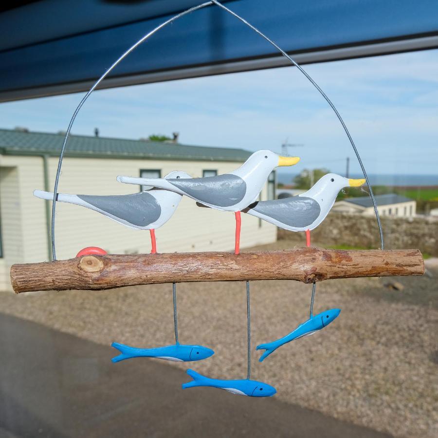 Kittiwake Apartman Saint Cyrus Kültér fotó